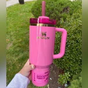 Galinda Wicked Stanley Cup